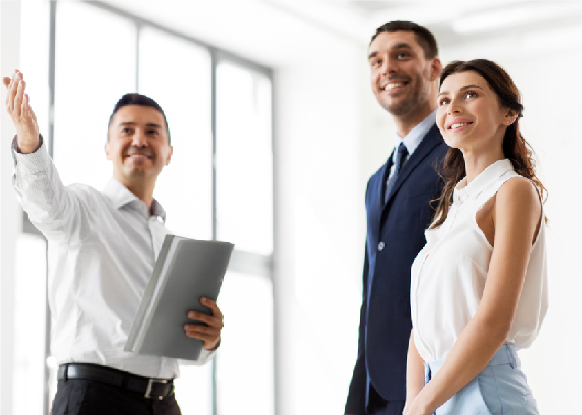 Fresh dates on palm tree
